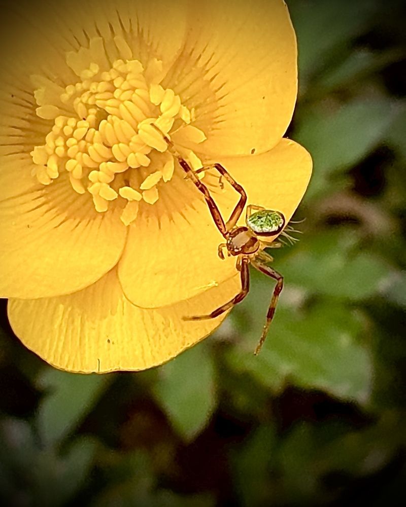 Photograph by Юлия