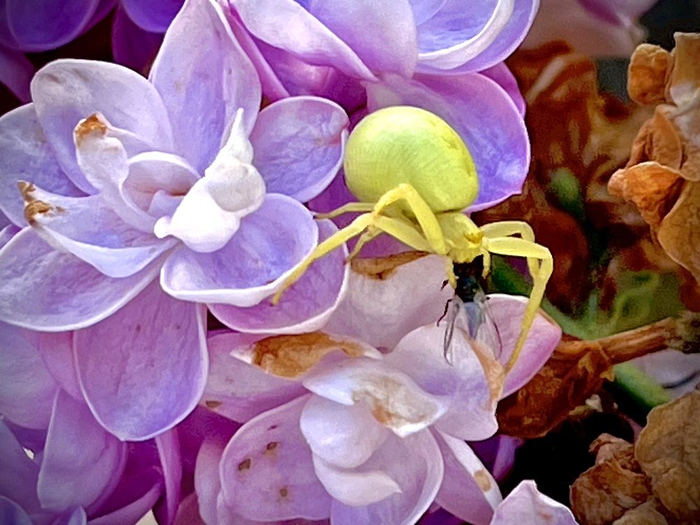 Photograph by Юлия