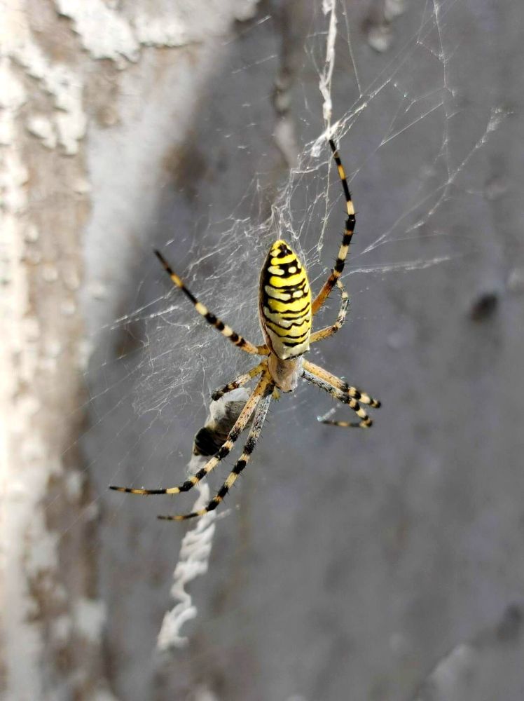 Photograph by Надежда Батракова