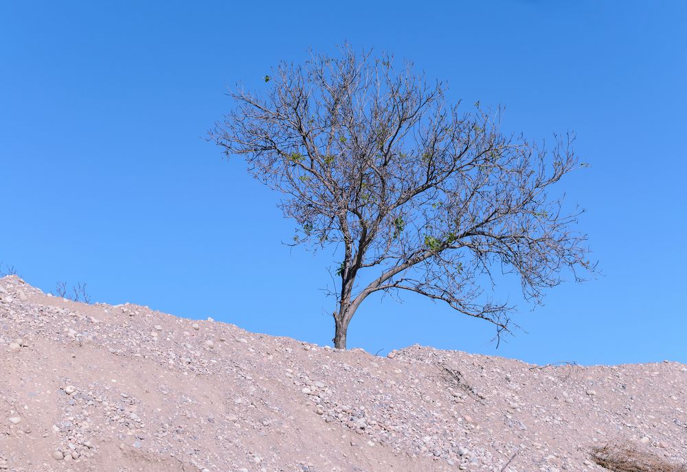 Photograph by Farkhad