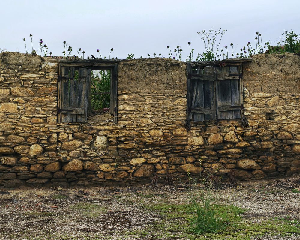 Photograph by Yulia Niki