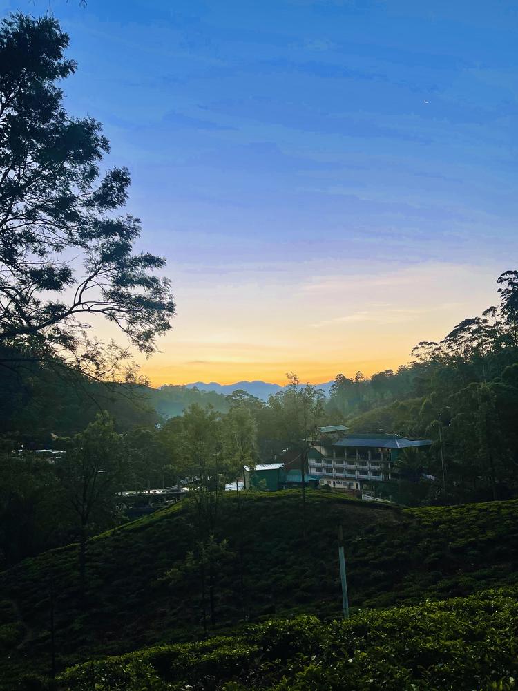 Photograph by Shamal lakshan