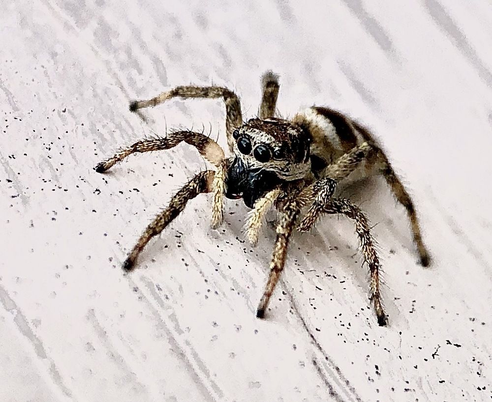 Photograph by Алексей Горин