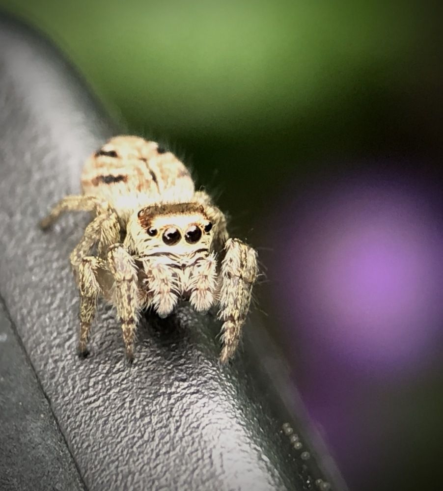 Photograph by Алексей Горин