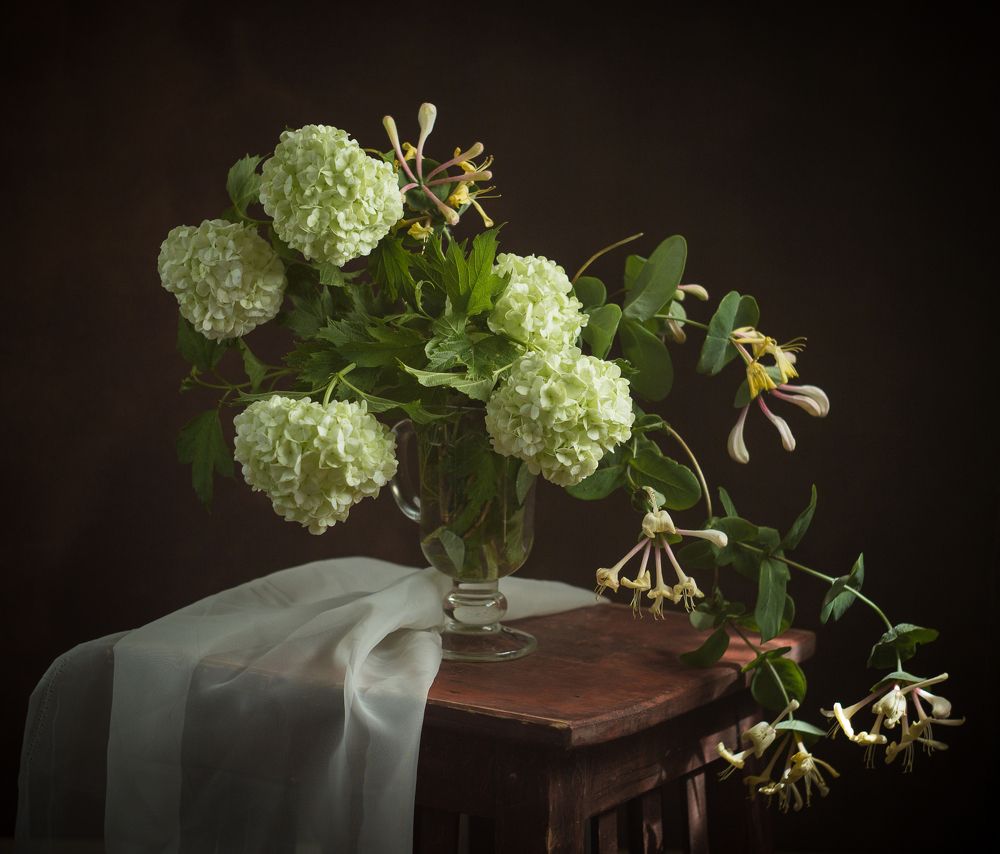 Photograph by Хвойнова Елена