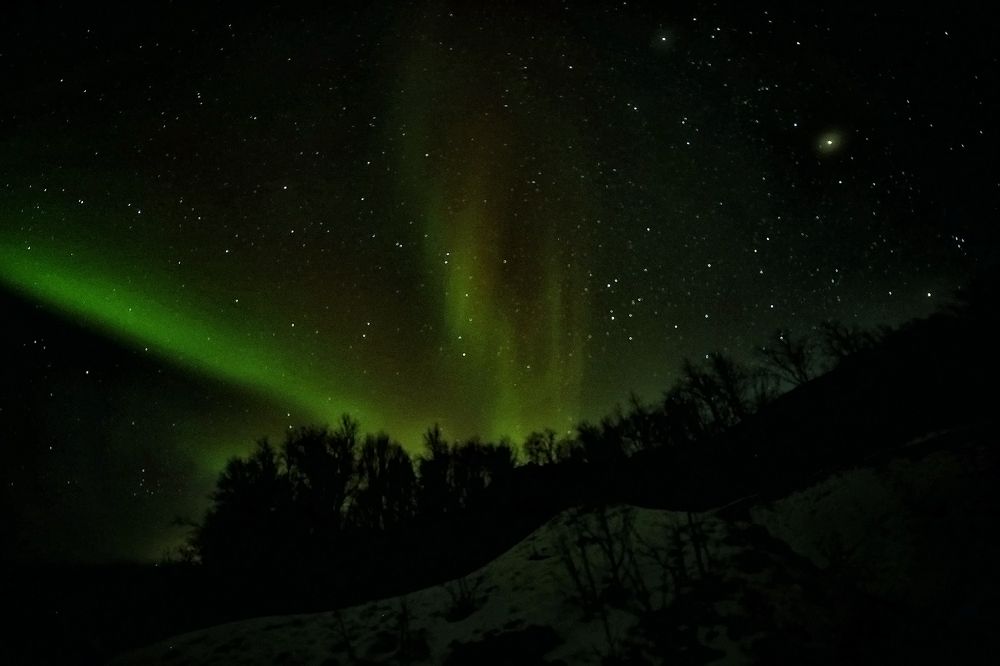 Фотография автора Павел Мартюшев