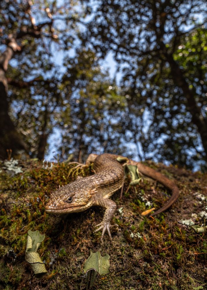 Photograph by Rodolfo Rodríguez Ruiz
