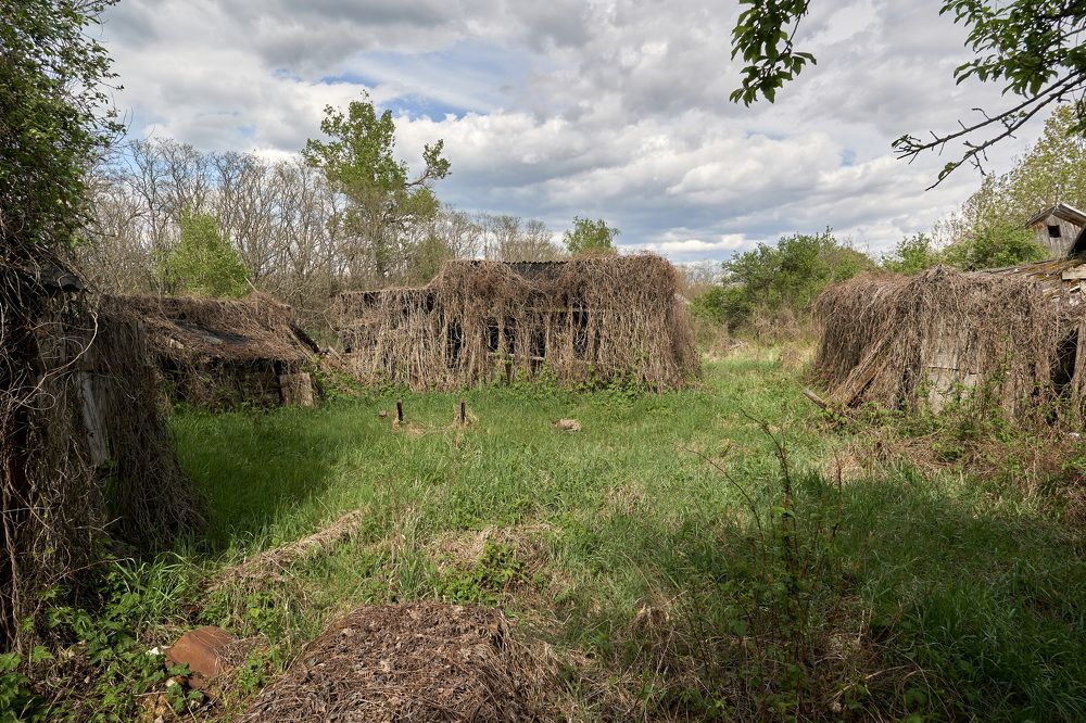 Photograph by Андрей Валерьевич