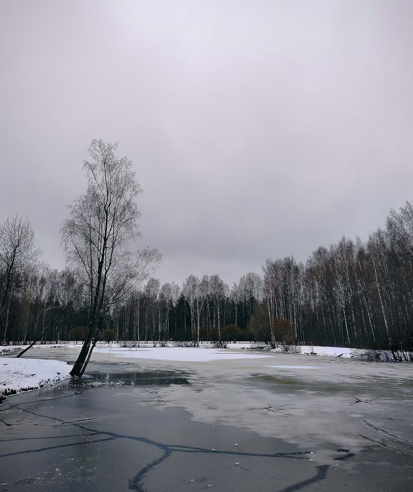 Photograph by Анастасия Молчанова