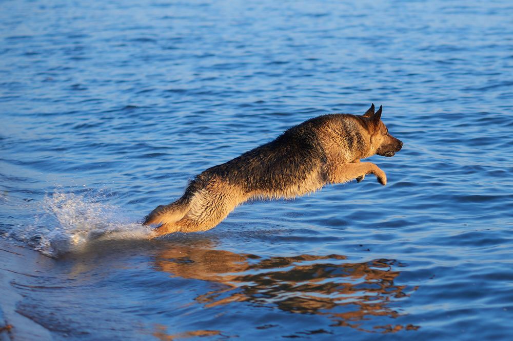 Photograph by Андрей Коротецкий