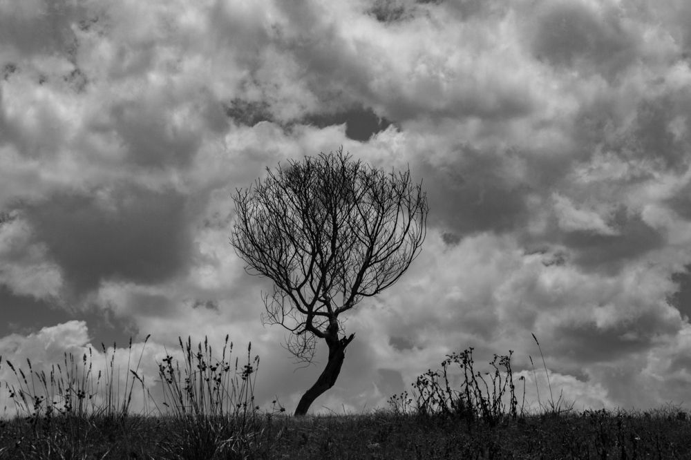 Photograph by Jorge Bagnuoli