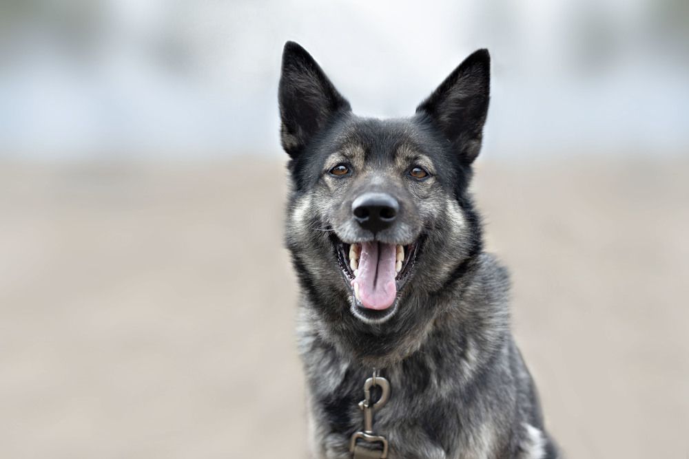 Фотография автора Екатерина Полякова