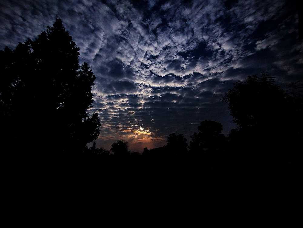 Photograph by Sofia Angeles Roman