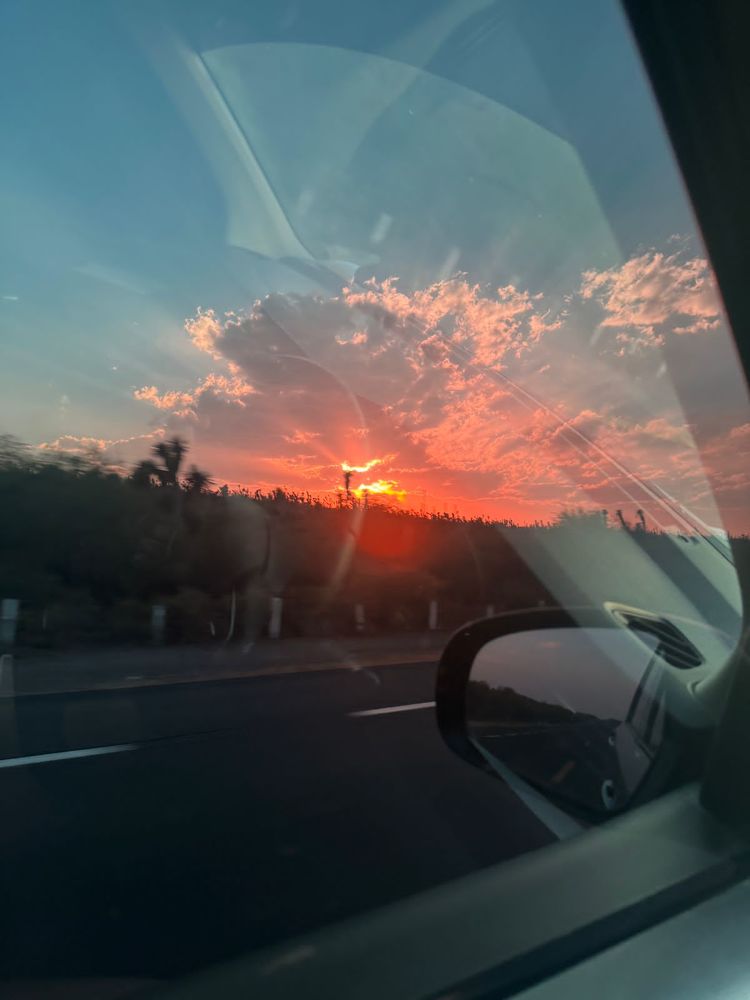 Photograph by Sofia Angeles Roman