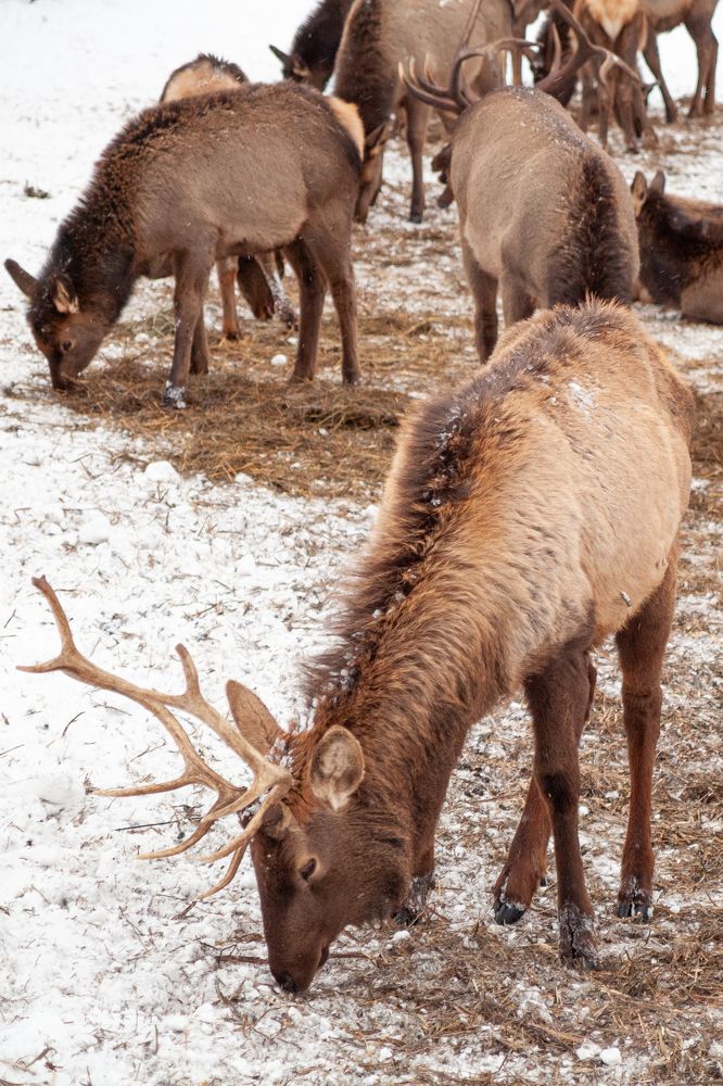 Photograph by Евгений Москвин