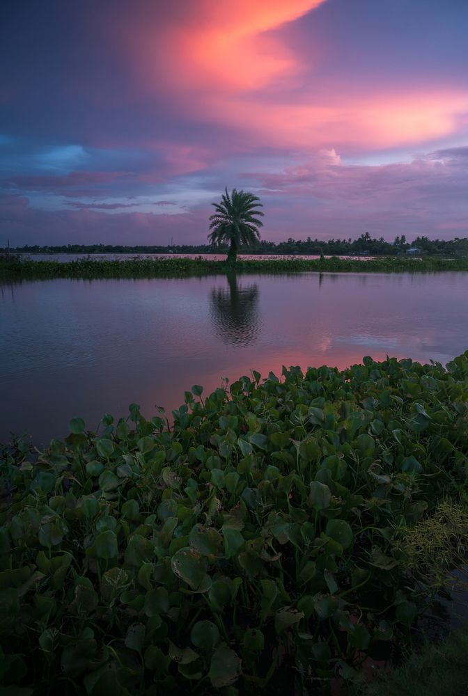 Photograph by Sk Shahrukh Sohel