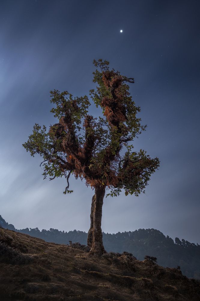 Photograph by Sk Shahrukh Sohel