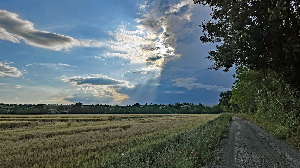 Al tramonto, sulla strada di casa