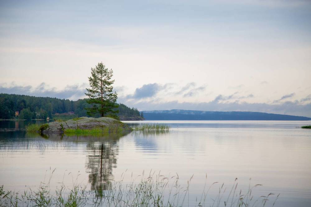 Photograph by Lev Kaufman