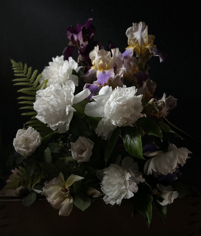 Photograph by Людмила Шатерникова