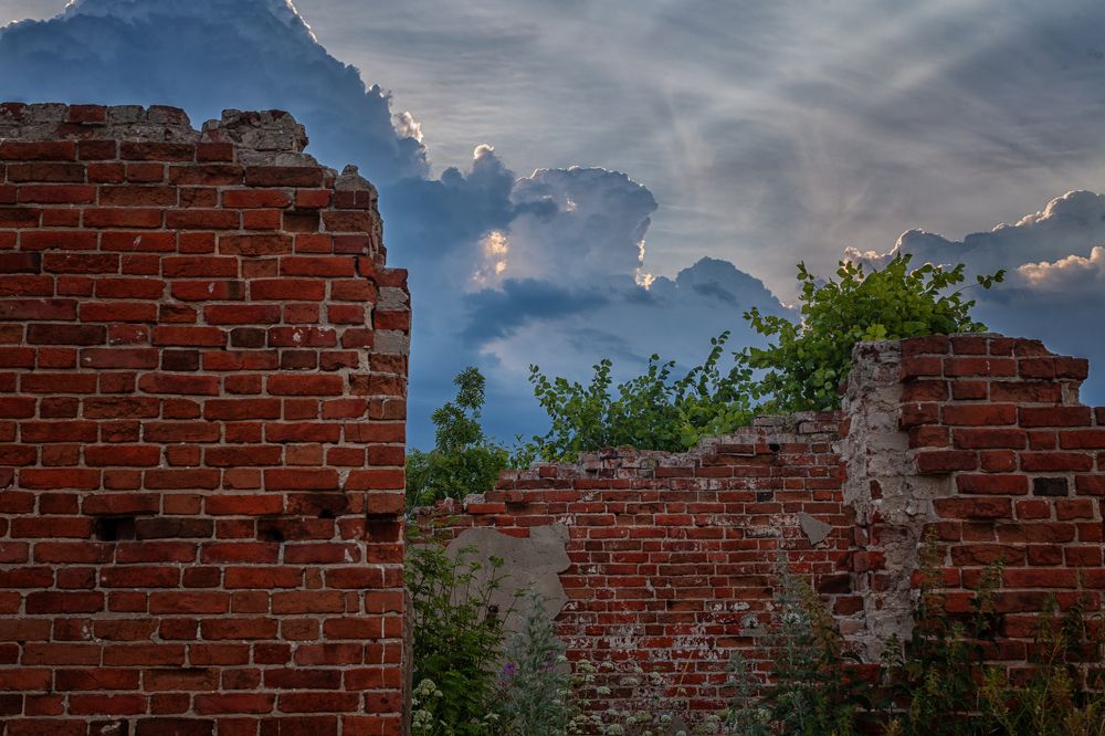 Фотография автора Илья Милорадов