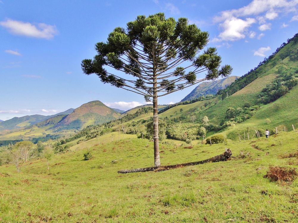 Photograph by Mauricio Brasilli