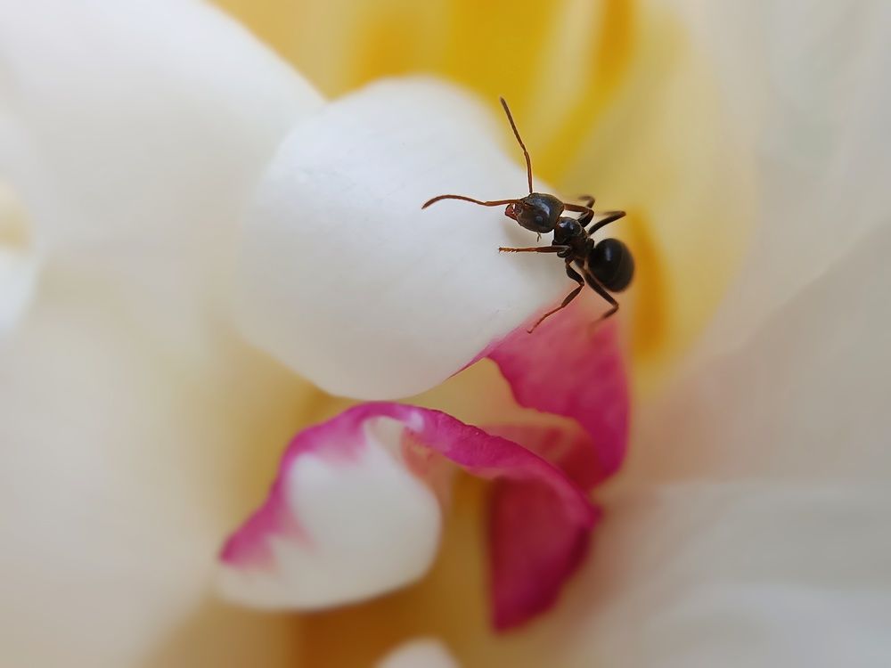 Photograph by Кристина Панченко