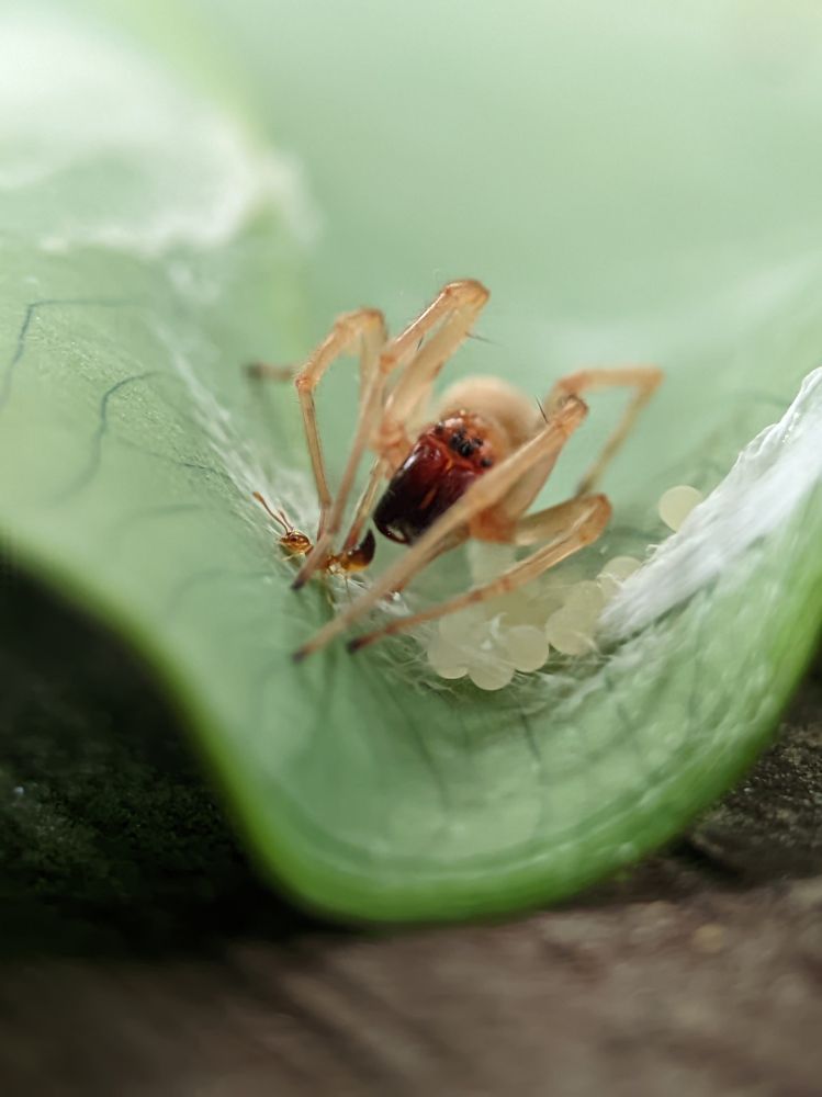 Photograph by Md Mofizul Islam