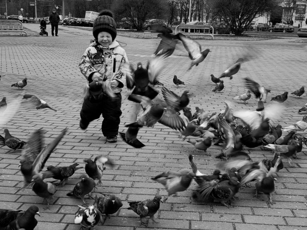 Photograph by Светлана Таркан