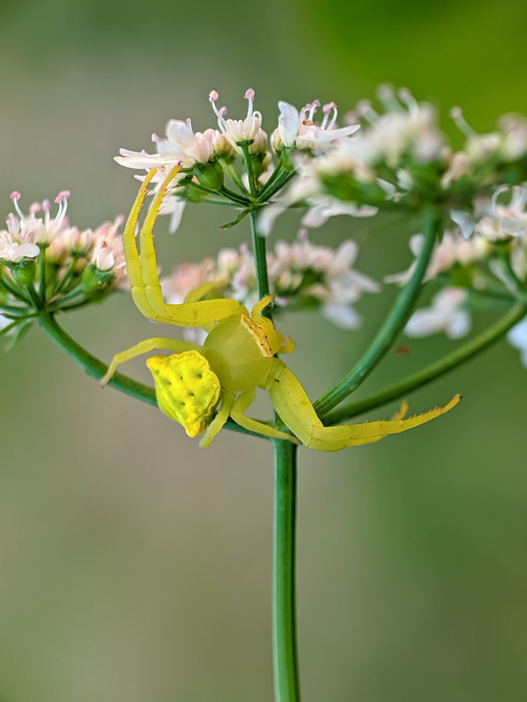 Photograph by Md Mofizul Islam