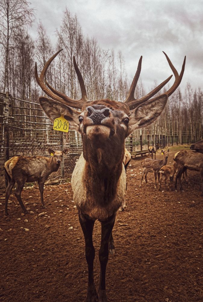 Photograph by Polina Kalder