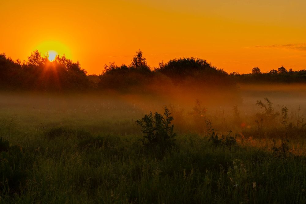 Фотография автора Aлексей Игнатьев
