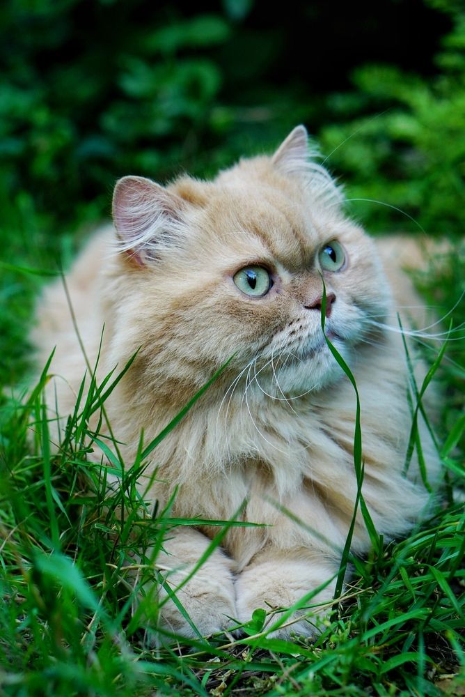 Photograph by Okcana Ryzhikh