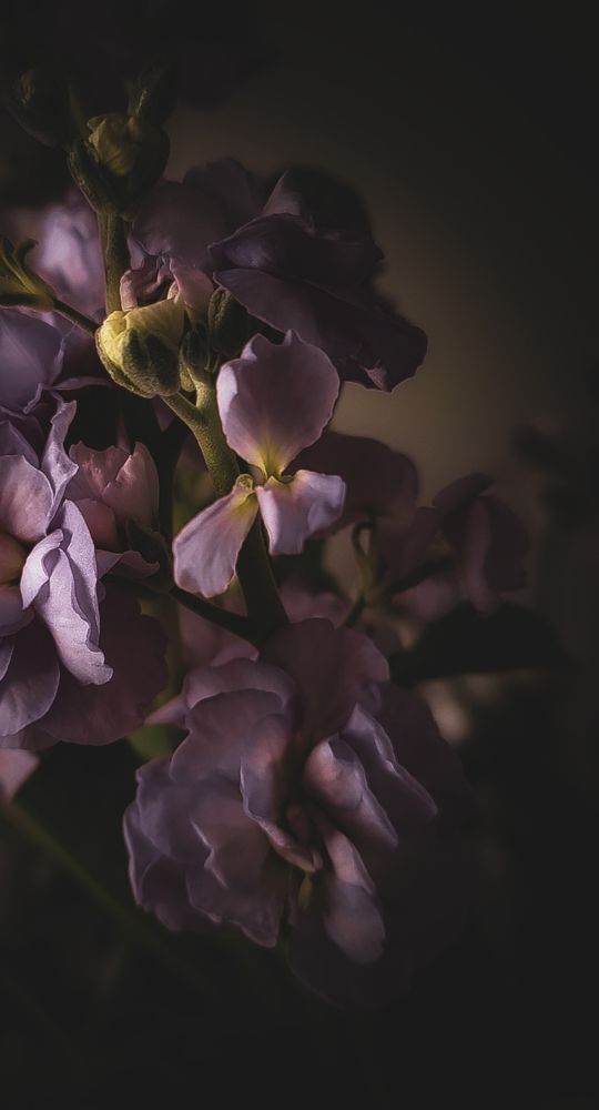 Photograph by Nataliya Mincho