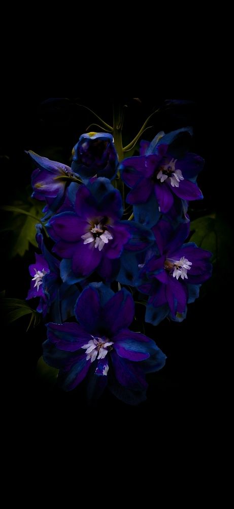 Photograph by Nataliya Mincho