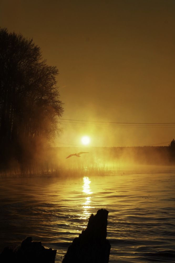 Photograph by Владимир Борисов