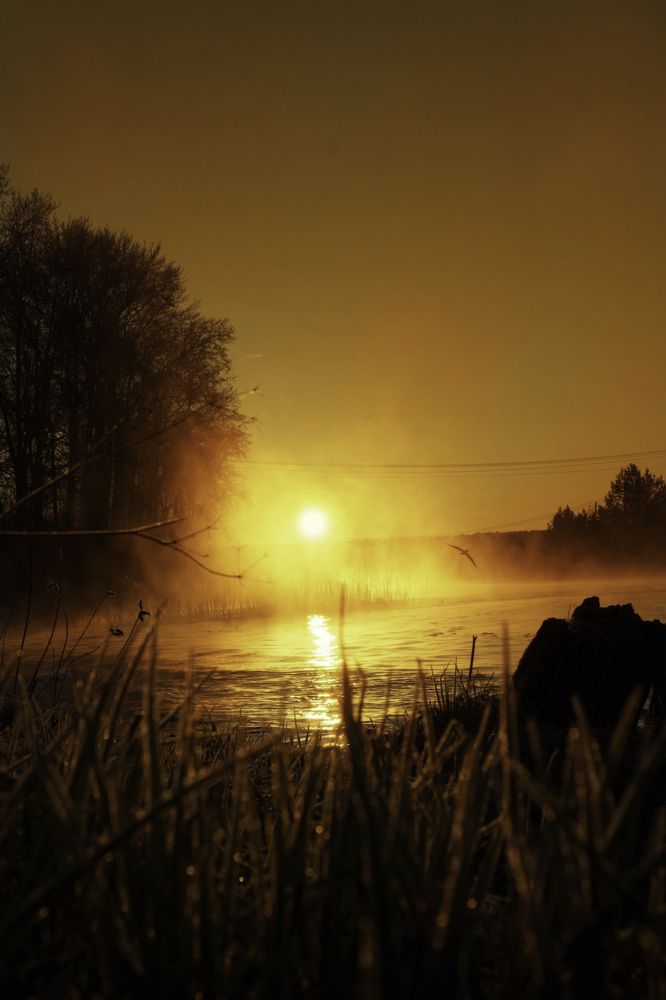 Photograph by Владимир Борисов