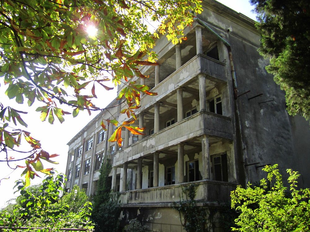 Photograph by Наталья Дубовкина