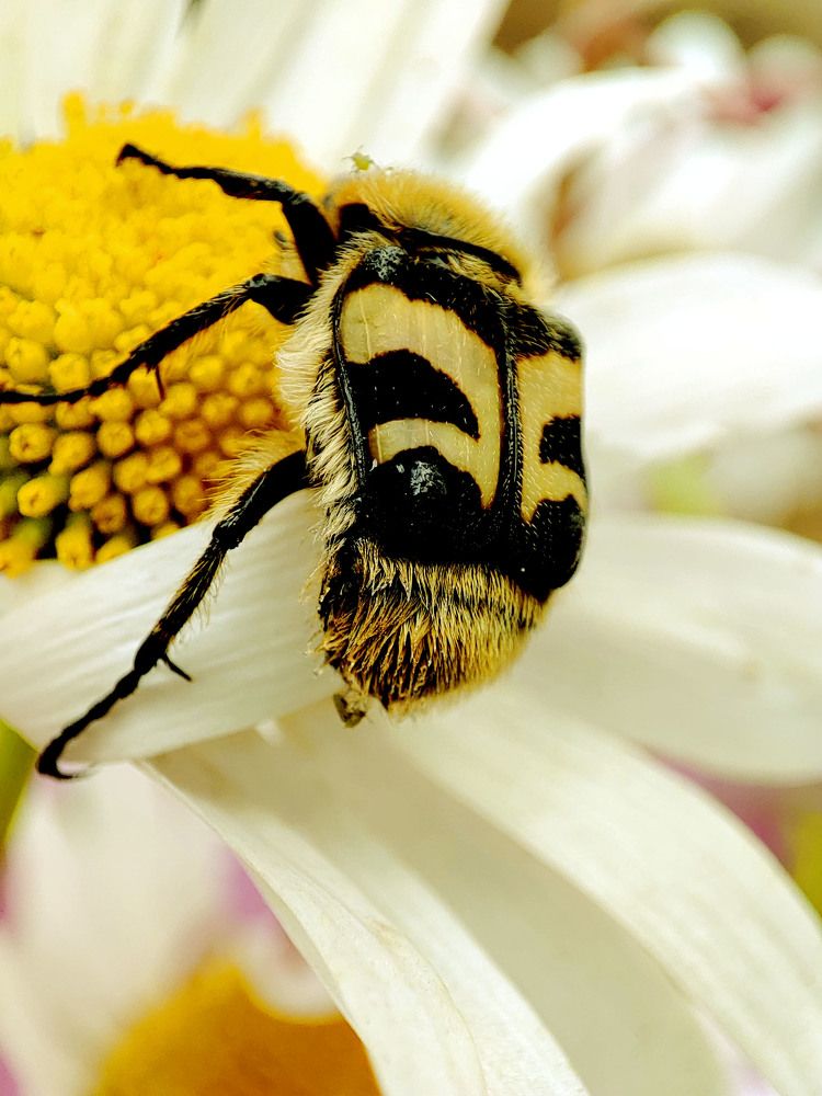 Photograph by Наталья Коншина