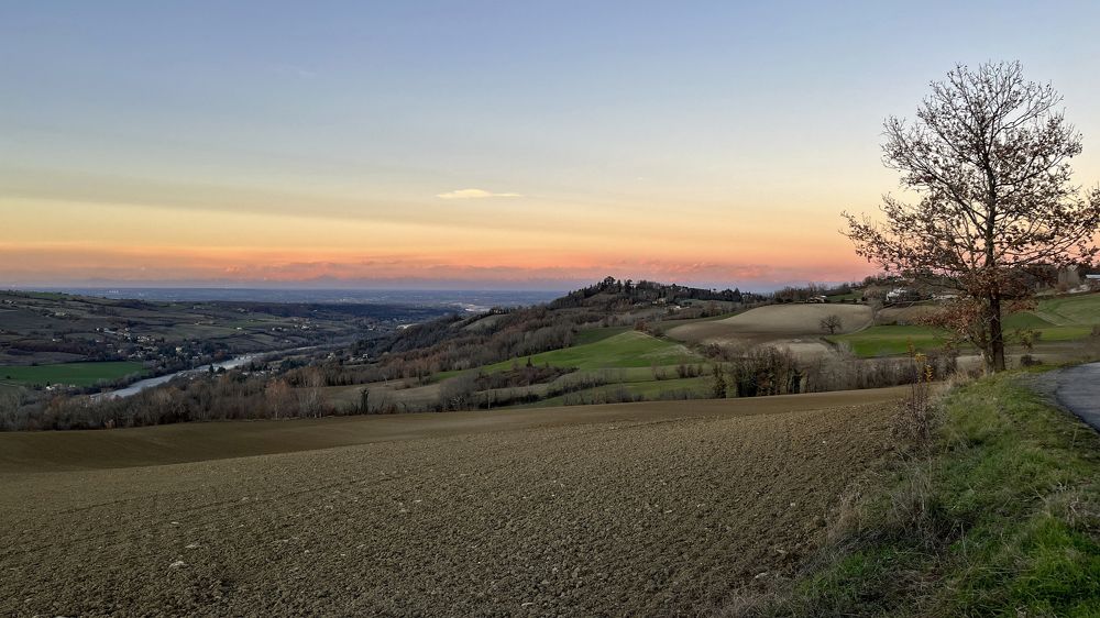 L'albero guarda la pianura del fiume Po