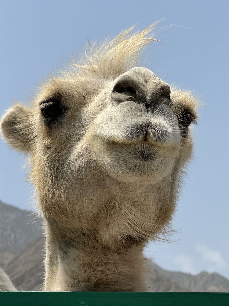 Photograph by Rozaliya Volosevich