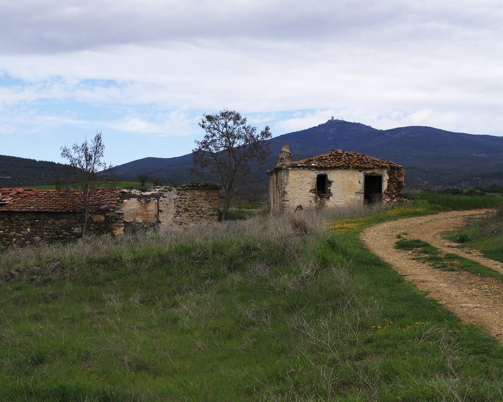 Photograph by Yulia Niki