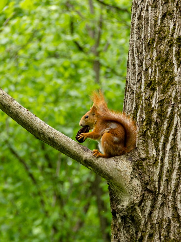 Photograph by Юлия Залогина