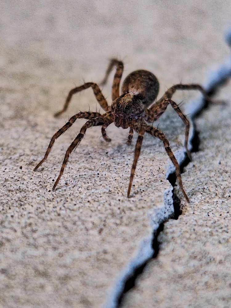 Photograph by Yuliya Karpova