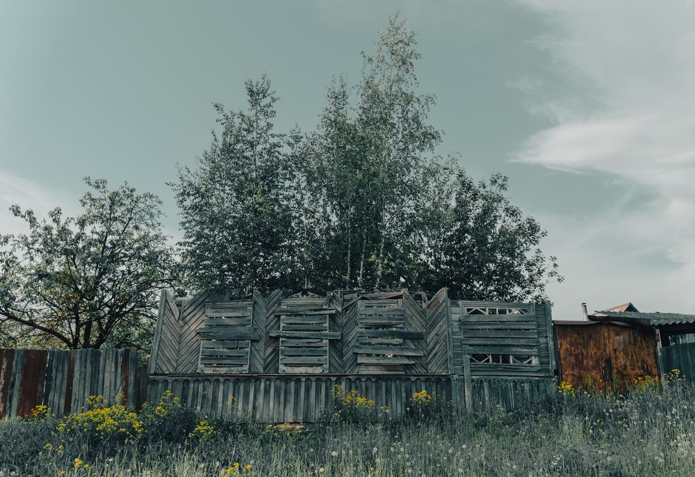 Photograph by Алексей Коровин