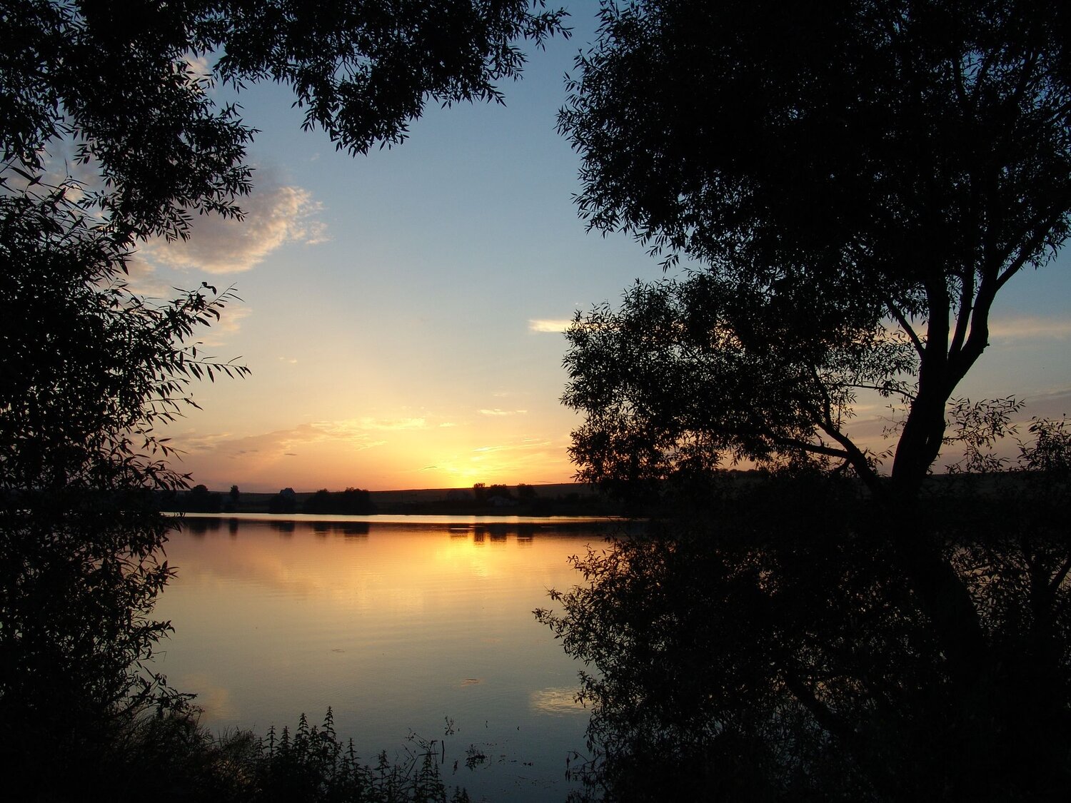 Photo #10664873