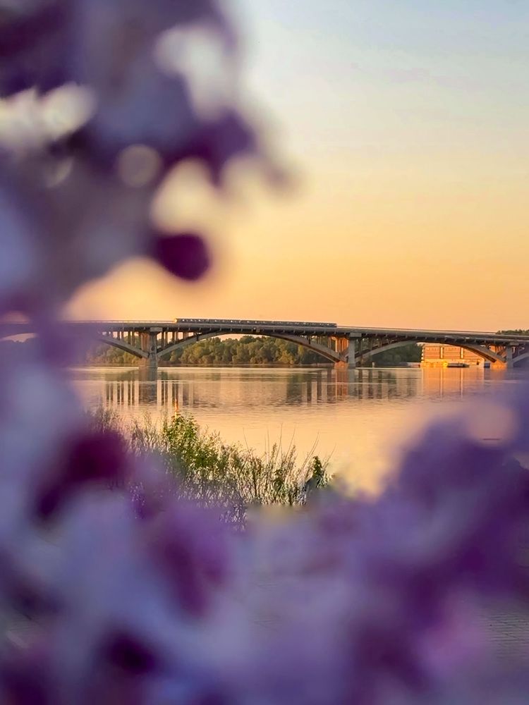 Photograph by Yuliana Shabovta