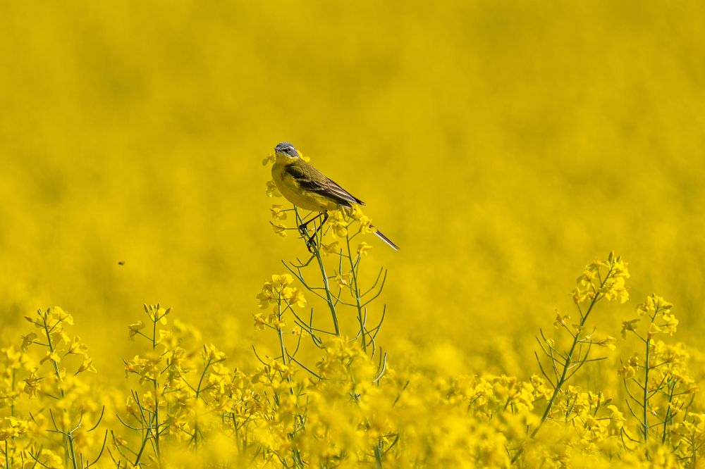Photograph by Alexey Ogarkov