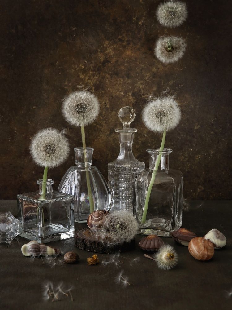 Photograph by Angelica Medvedeva