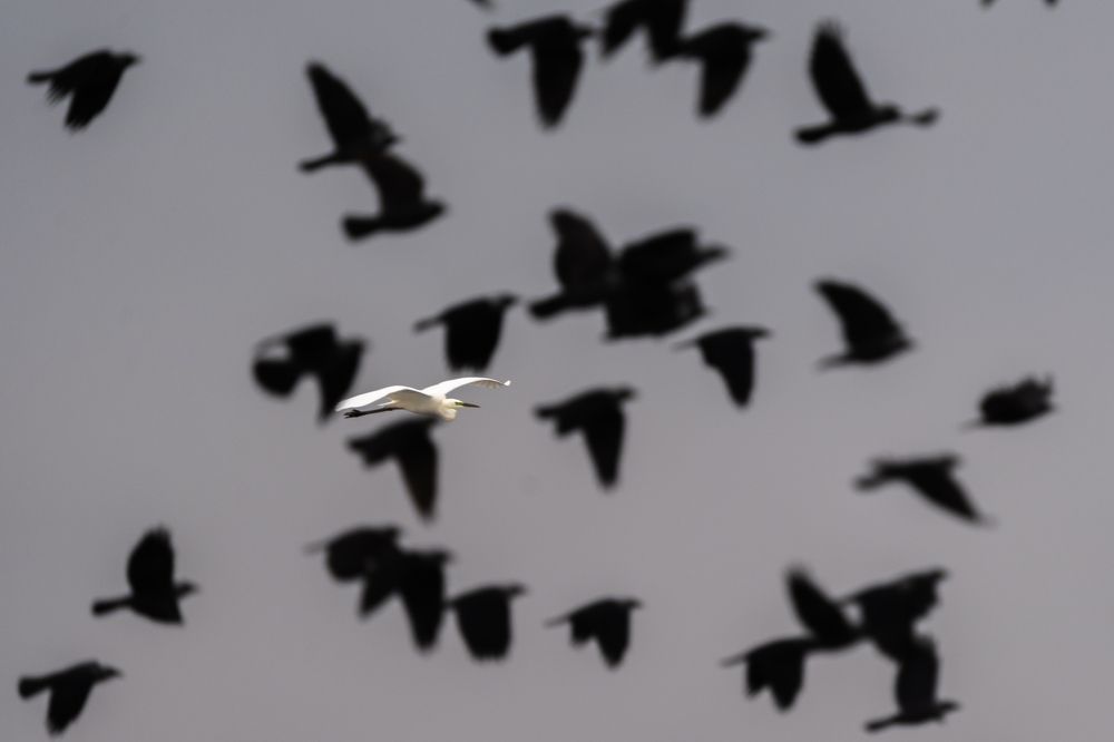 Photograph by Alexey Ogarkov